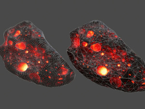 asteroid 3D 模型