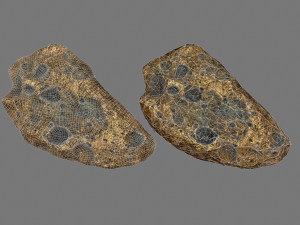 asteroid 3D मॉडल