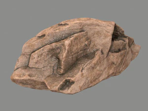 사막의 바위 3D 모델