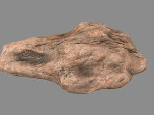 사막의 바위 3D 모델