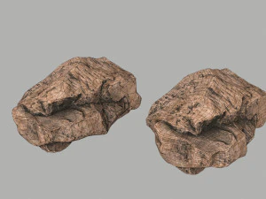 사막의 바위 3D 모델