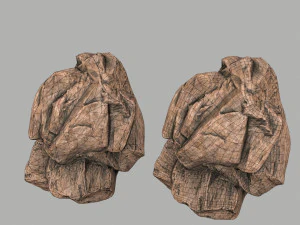 사막의 바위 3D 모델