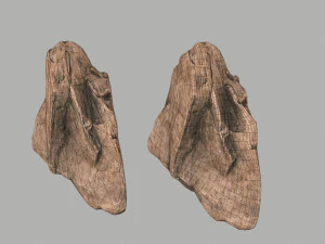 사막의 바위 3D 모델