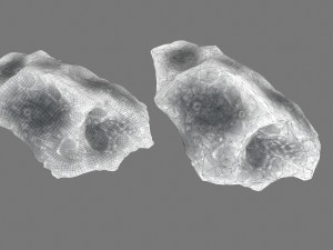 ice asteroid 3D मॉडल