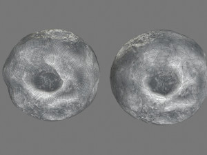 ice asteroid 3D मॉडल