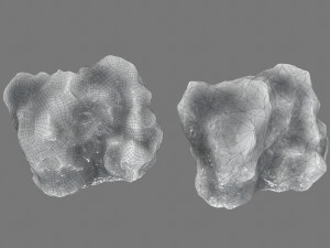 ice asteroid 3D मॉडल