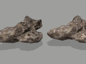 asteroid 3D Model