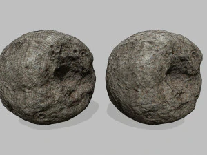 asteroid 3D Model