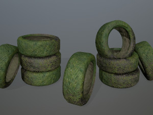 tire3 3D Model
