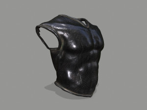 armor Modello 3D