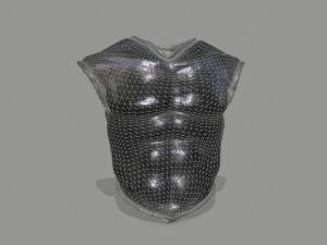 armor Modello 3D