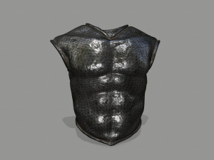 armor 3D Model