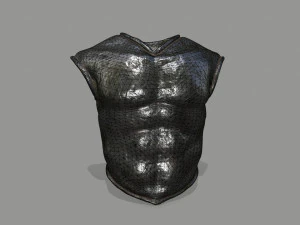 armor 3D Model