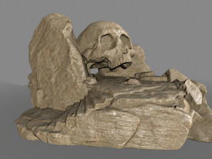 skullcave 3D Model
