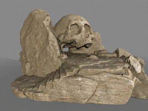 Sch&auml;delh&ouml;hle 3D Modell