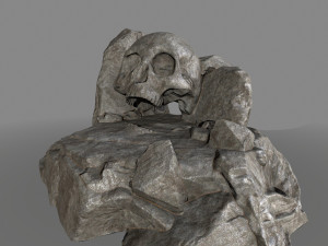 skullcave 3D Model