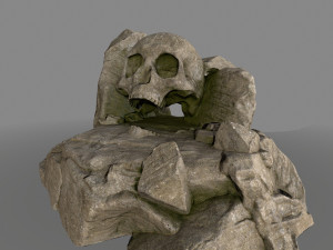 skullcave 3D 모델