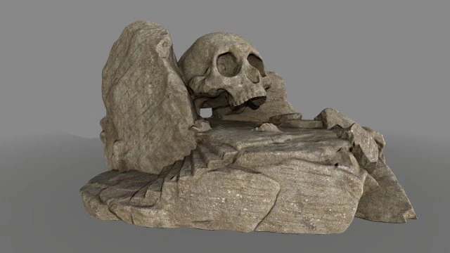 skullcave 3D Model .c4d .max .obj .3ds .fbx .stl .blend 