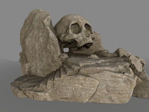 skullcave 3D Model