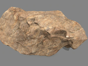 desert rock 3D Model