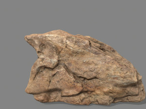 desert rock 3D Model