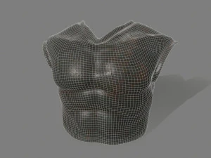armor 3D Model