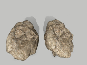 rocks 3D Model