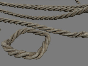 woods and ropes 3D Model