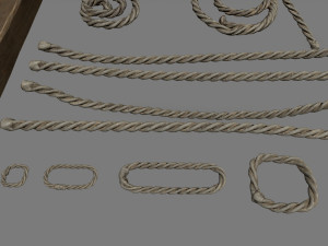 woods and ropes 3D Model