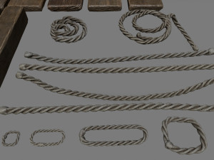 woods and ropes 3D Model