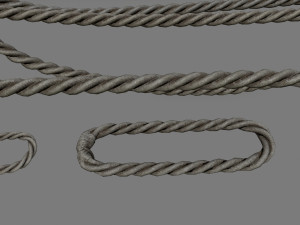 woods and ropes 3D Model