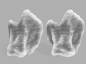 ice set 3D 模型