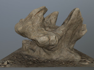 rocks 3D मॉडल