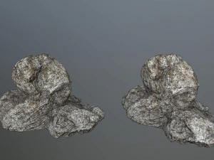 rocks 3D Model