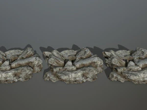 rocks 3D Model