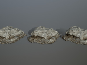 rocks 3D Model