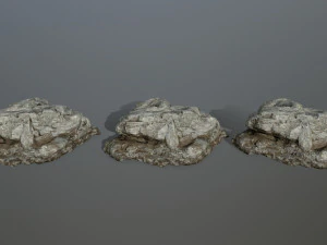 rocks 3D Model