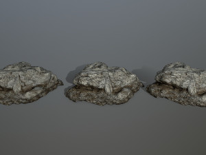 rocks 3D Model