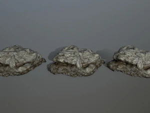 rocks 3D Model