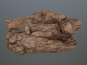rocks 3D Model