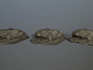 rocks 3D Model