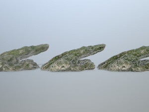 rocks 3D Model