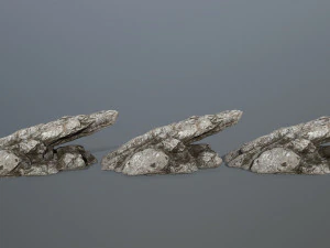 rocks 3D Model