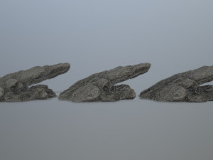 rocks 3D 模型