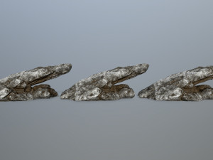rocks 3D Model