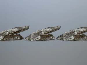 rocce Modello 3D