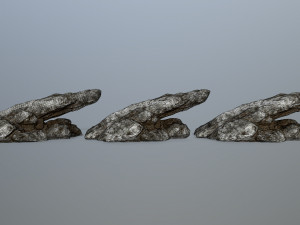rocks 3D Model