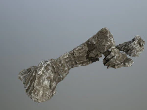 rocks 3D Model