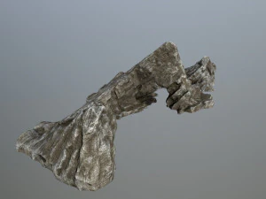 rocks 3D Model