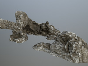 rocks 3D 模型